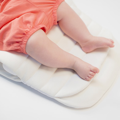 Inglesina Aptica XT